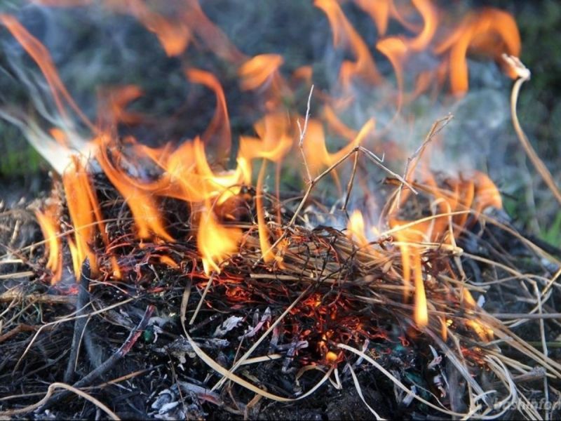 В Суворовском в Ростове полыхает ландшафтный пожар