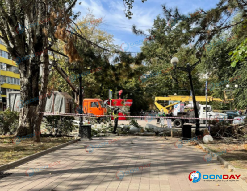 На Пушкинской огромное дерево перегородило пешеходную часть улицы