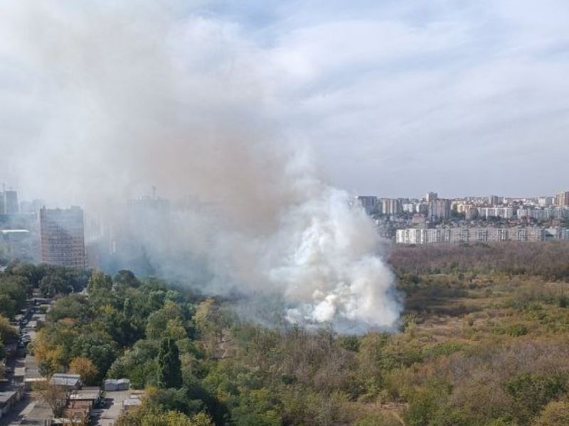 Возгорание в роще Первомайского района в Ростове потушили
