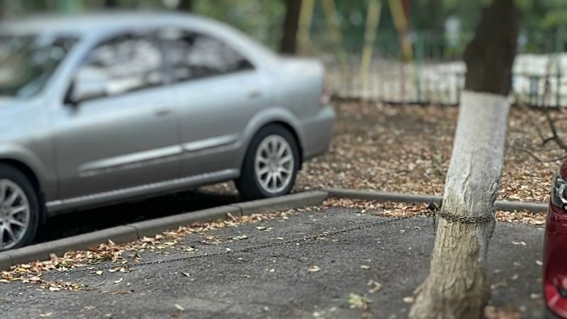 Женщина огородила парковочное место для своей дочери на Северном в Ростове