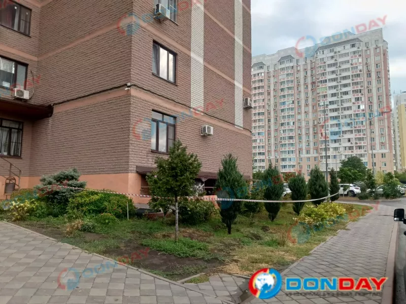 Жительница Левенцовки не решилась покинуть дом во время атаки БПЛА из-за котов