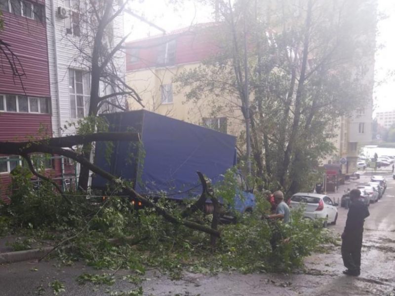 В центре Ростова убрали упавшую из-за непогоды ветку на Халтуринском