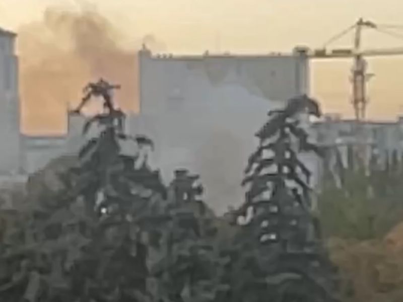 Постройка горит в парке Горького в Ростове
