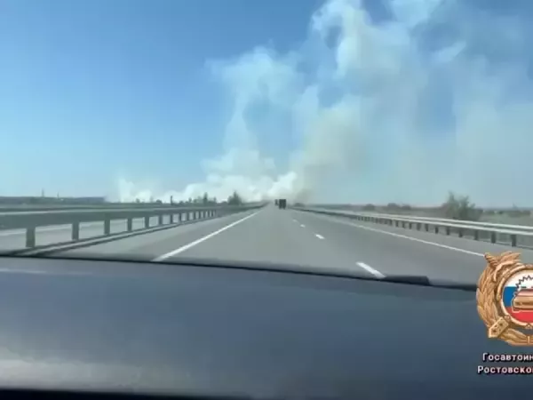 На трассе в Ростовской области потушили крупный пожар