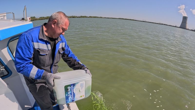 На Ростовской АЭС в водоем охладитель запустили очередную партию хлореллы для профилактики «цветения» воды