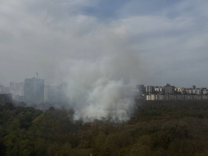 Жители Ростова сообщают о пожаре в роще Первомайского района