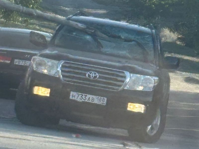 Из-за сильного ветра огромная ветка пробила лобовое стекло иномарки в городе Шахты