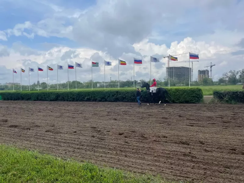 Ипподром Ростова могли продать частному лицу почти за 8 млрд рублей