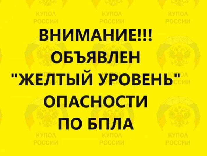 Вечером 15 октября в Ростовской области объявили желтый уровень беспилотной опасности