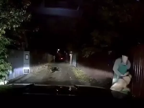 В Ростове-на-Дону усыпят собаку, напавшую на женщину во дворе