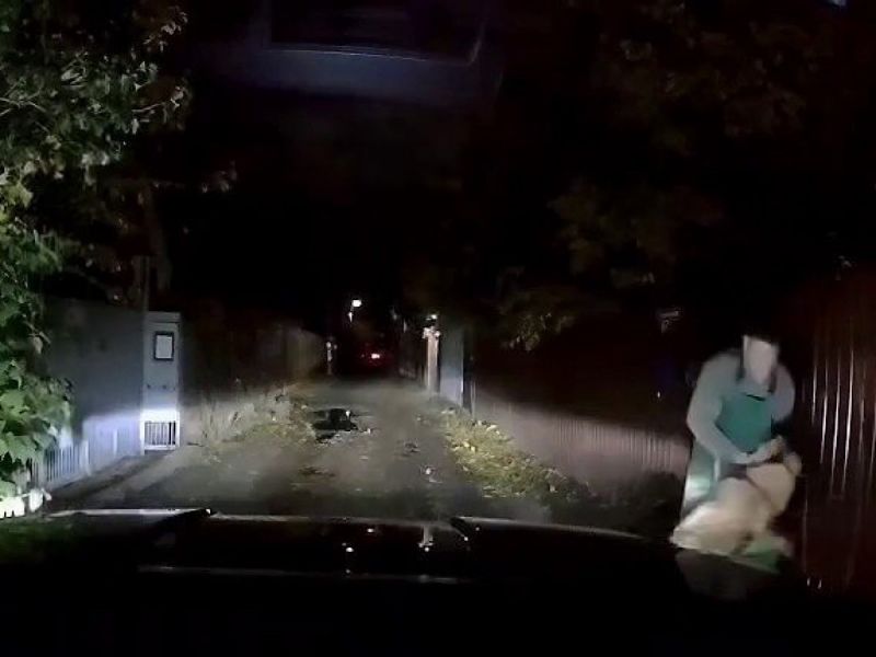 Огромный алабай разорвал лицо и откусил пальцы ростовчанке