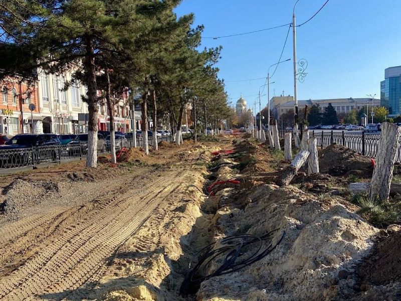 В Новочеркасске в процессе благоустройства спилили аллею здоровых сосен