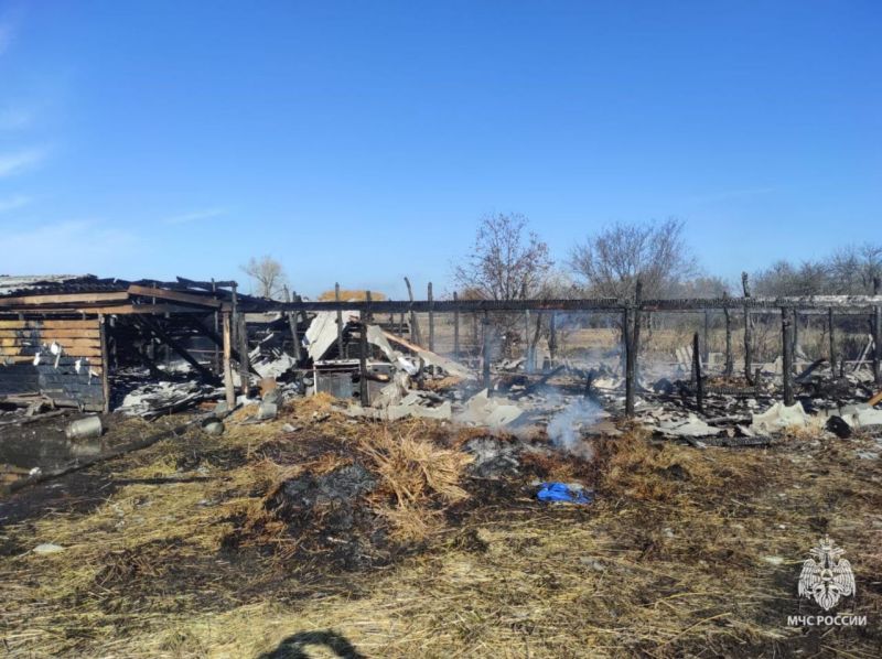 В Ростовской области произошел пожар в коровнике