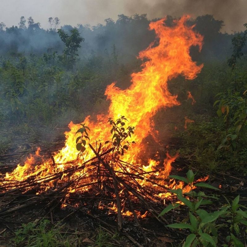 В Суворовском в Ростове 31 октября пройдут плановые выжигания сухостоя