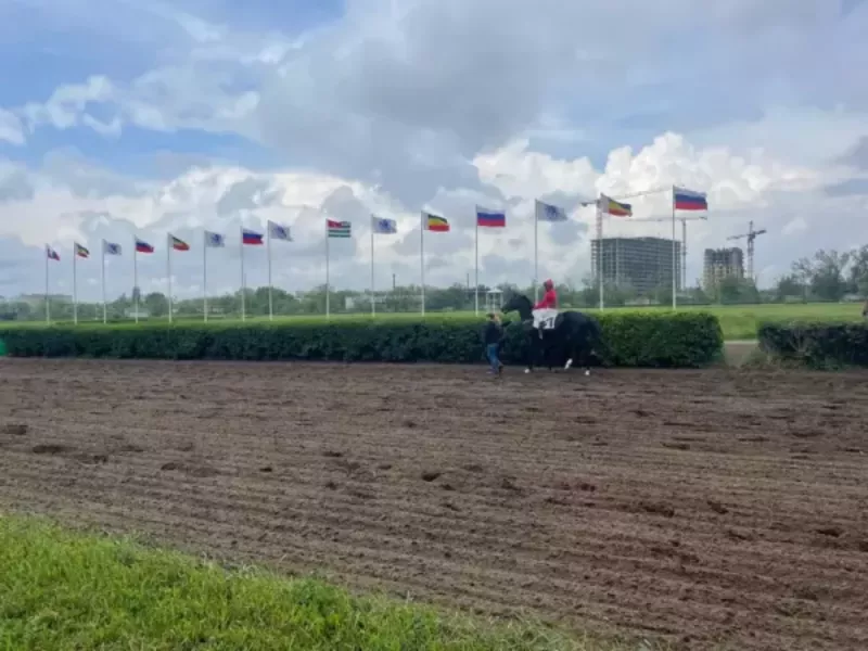 Общественное пространство и парк появятся на месте бывшего ипподрома в Ростове