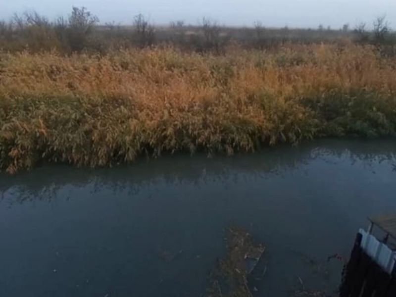 Под Ростовом зафиксировали очередной слив канализационных стоков в ручей Быстрый
