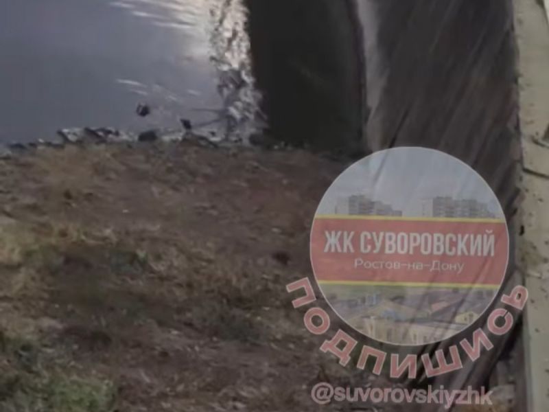 В ростовском микрорайоне Суворовском жители столкнулись с нашествием крыс