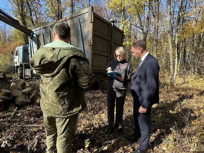 Санитарная необходимость: известна причина массовой вырубки деревьев в Щепкинском лесу