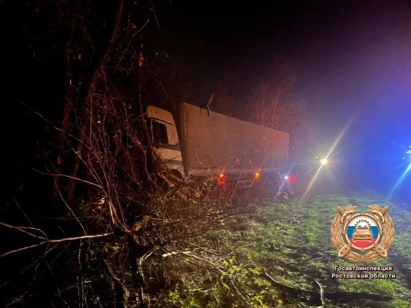 Водитель грузовика врезался в дерево в Ростовской области