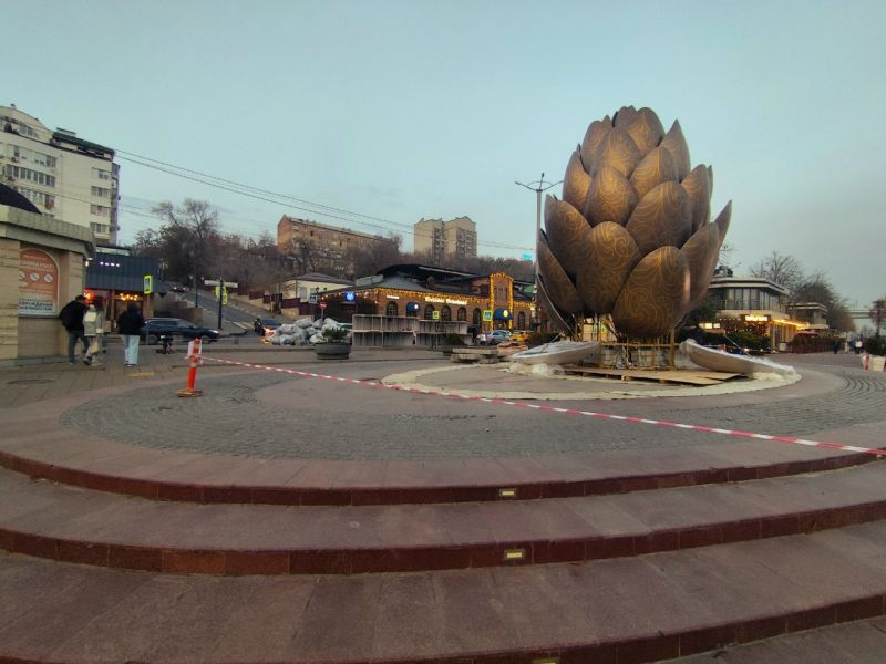 На набережной Ростова-на-Дону установили арт-объект в виде двухметровой шишки