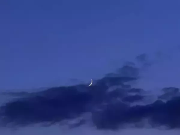 36 БПЛА сбили над Ростовской областью ночью 8 ноября