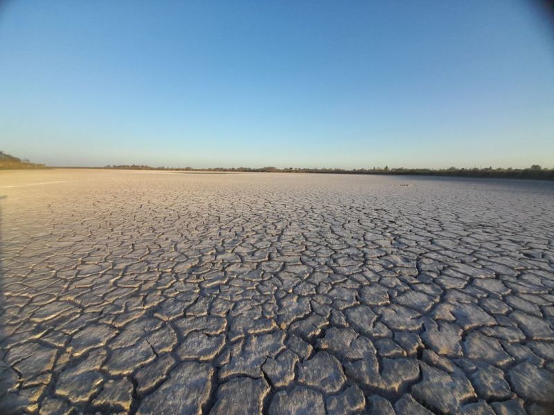 Четырем районам Ростовской области угрожает почвенная засуха