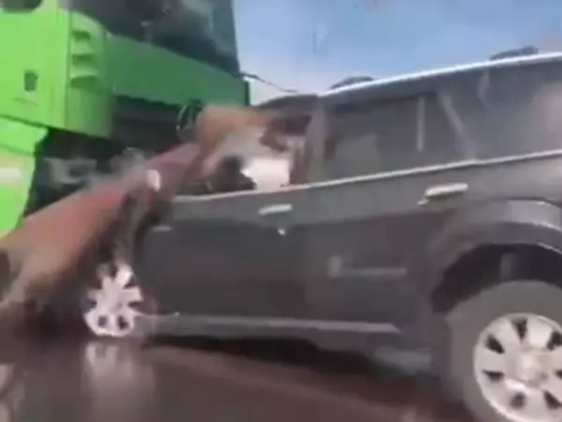 В Ростовской области осудили водителя фуры, который снес легковушку на «встречке»