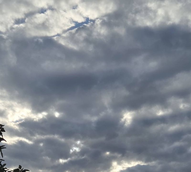 В Ростовской области 1 ноября объявили угрозу применения беспилотников