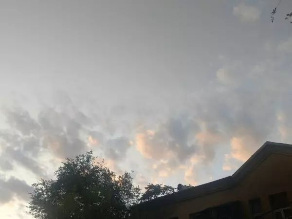 На новой рабочей неделе в Ростовской области потеплеет до +20 градусов