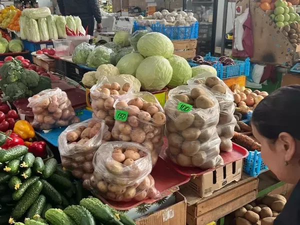 На Дону урожай картофеля в 2025 году вырос на 7,5%