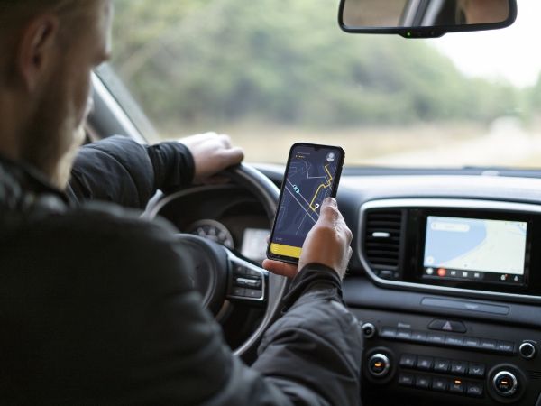 Грибники Ростовской области назвали районы, где нашли больше всего грибов