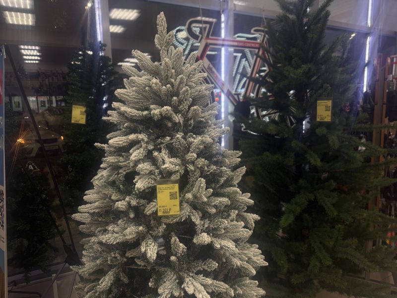 В Ростове в ноябре начали продавать новогодние елки