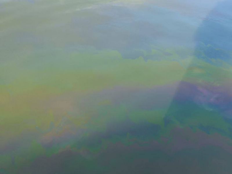 После прохождения грузовой баржи Семикаракорский затон загрязнен мазутом