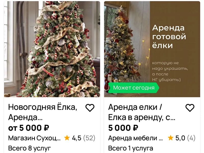 В Ростове аренда «елок с декором» обойдется дешевле, но пока предложений нет