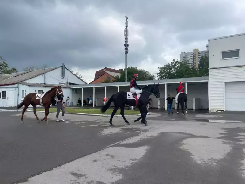 Петиция за сохранение ростовского ипподрома собрала почти 5 тысяч подписей