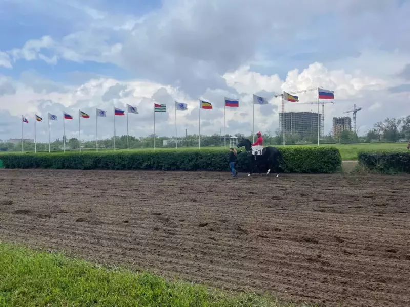 Коллективное письмо с просьбой отсрочить закрытие ростовского ипподрома подписали конники