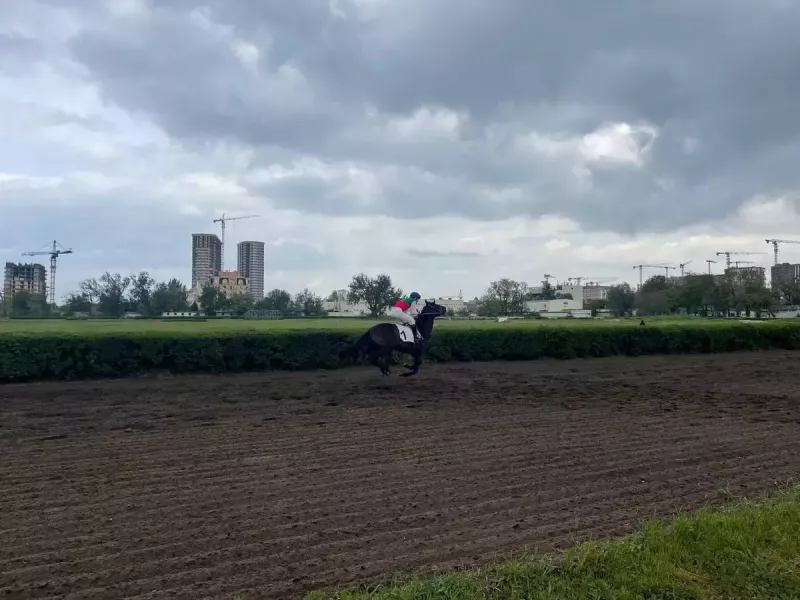 Прокуратура Ростовской области выявила нарушения в отказе признать ипподром ОКН