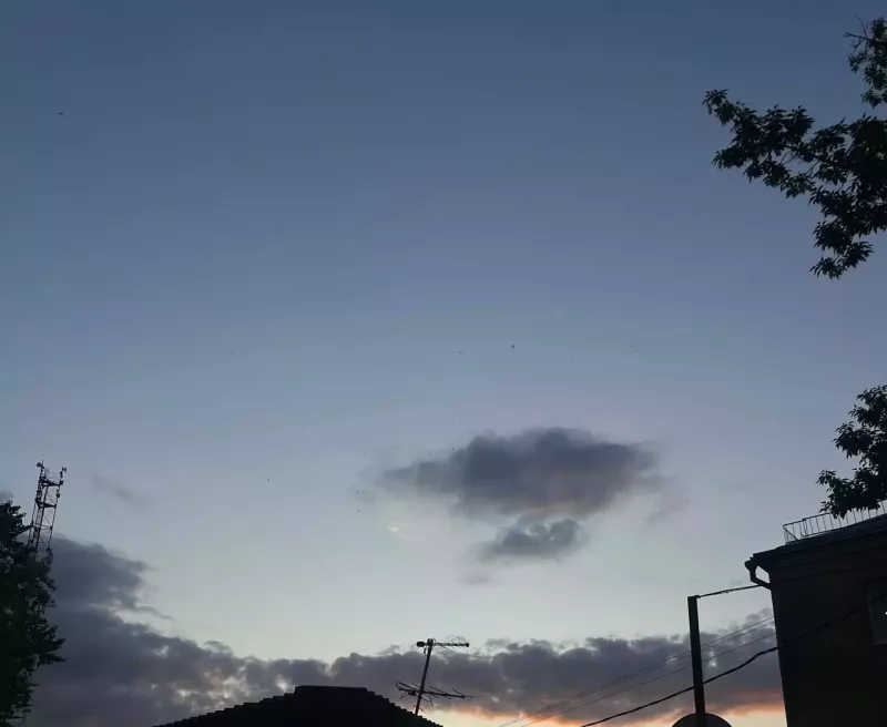 Минобороны РФ: Над Ростовской областью сбили один БПЛА