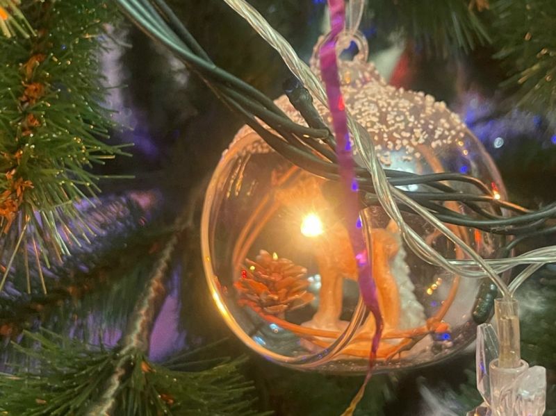 Новогодняя елка во дворе может обернуться крупным штрафом для жителей Ростовской области