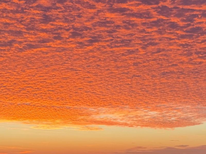 За три часа ночью 1 ноября над Ростовской областью сбили четыре дрона