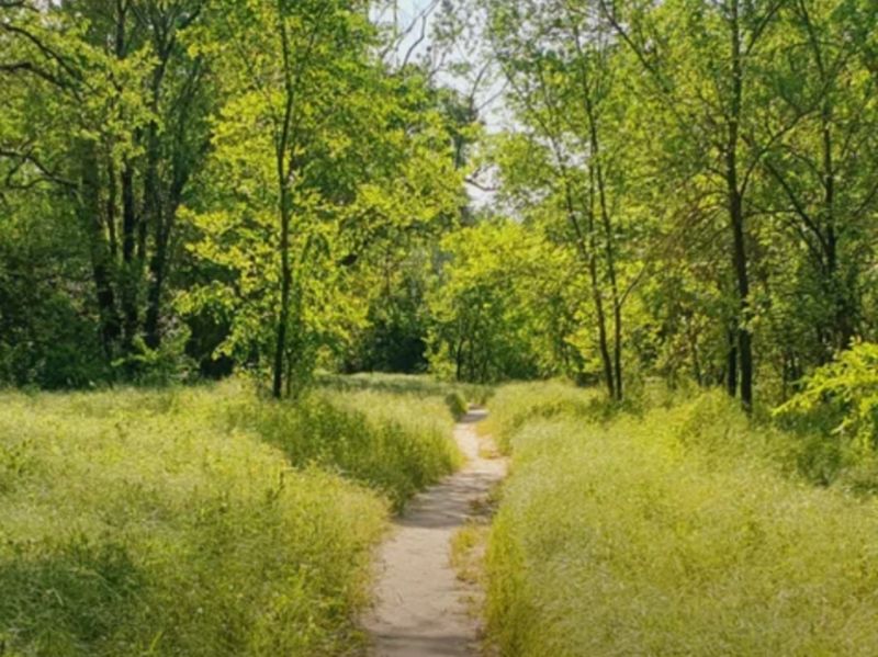 Фото: соцсети