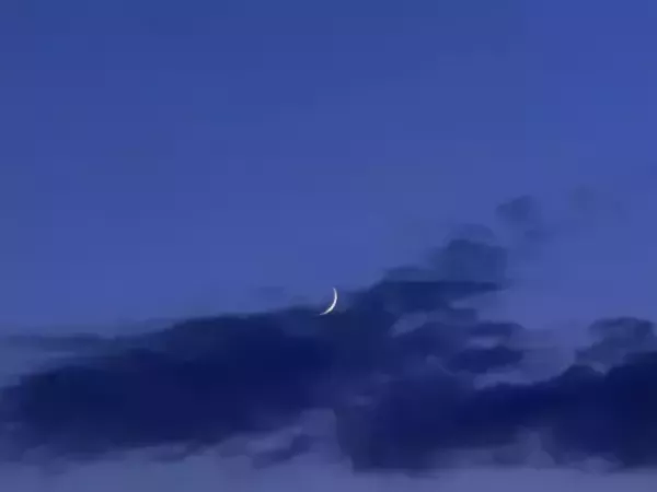 Над Ростовской областью уничтожили четыре беспилотника