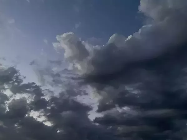 Над Ростовской областью утром 21 ноября были ликвидированы три БПЛА