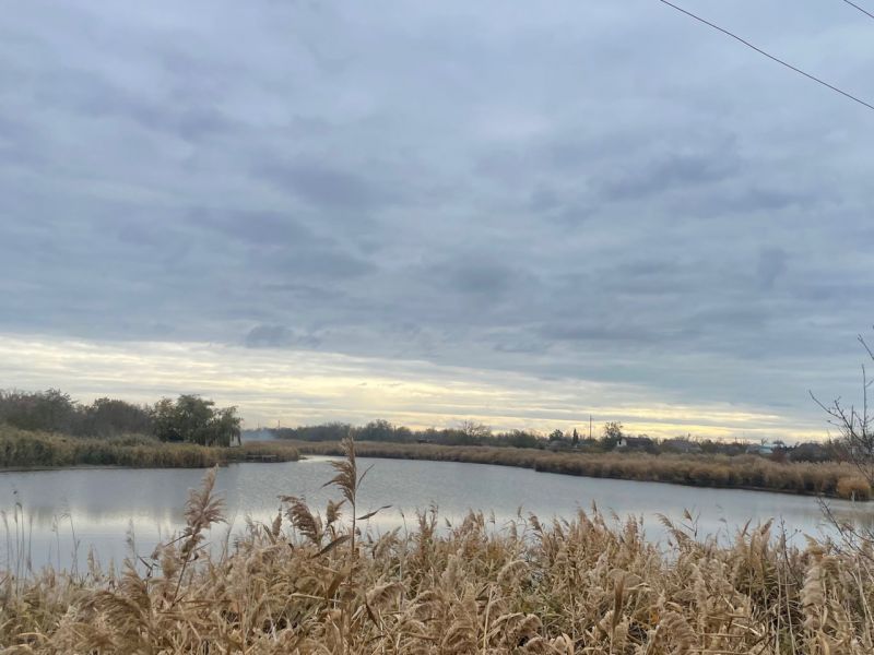 С 15 ноября в Ростовской области вступает в силу сезонный запрет на лов рыбы