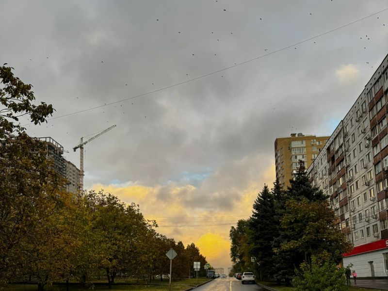 В конце ноября в Ростовской области после аномального потепления резко похолодает