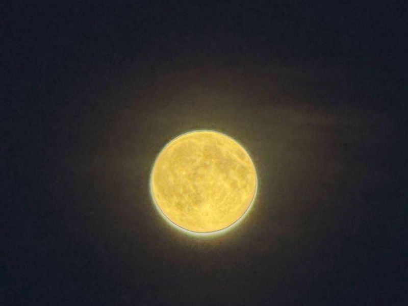 Жители Дона запечатлели яркую Бобровую Луну