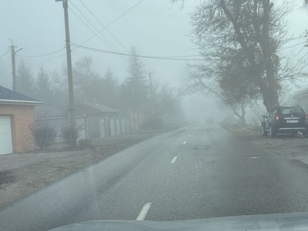 На Дону объявлен желтый уровень погодной опасности