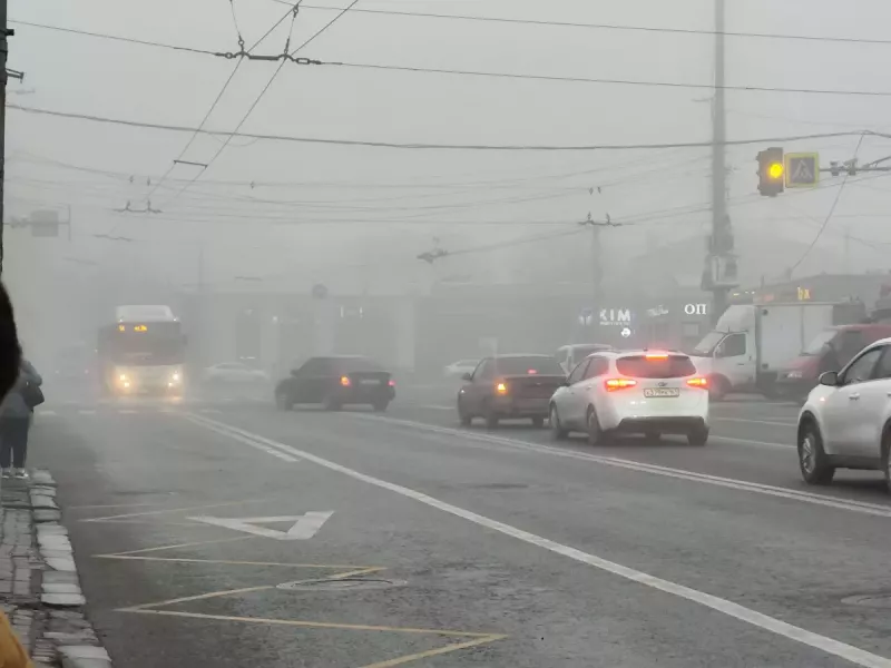 В Ростове на выходных потеплеет до +14 градусов