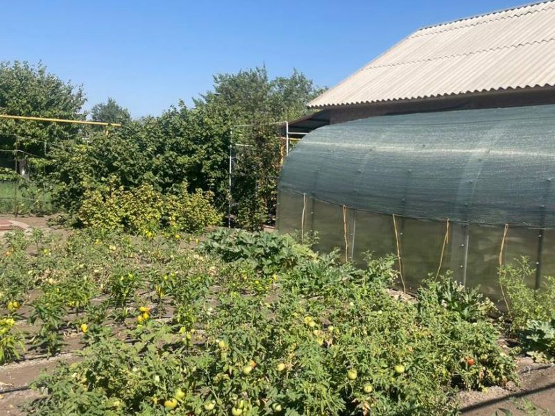 Садоводам из Ростовской области напомнили, что нельзя строить на дачах