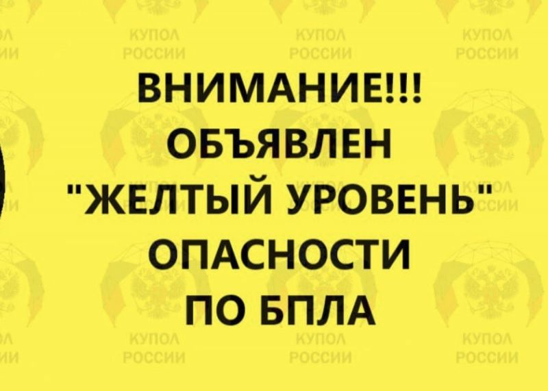 Желтый уровень беспилотной опасности объявили на Дону ночью 9 ноября